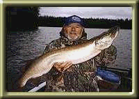 JUST Musky - musky fishing tackle & equipment - Eagle Sports